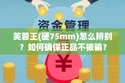 芙蓉王(硬75mm)怎么辨别？如何确保正品不被骗？